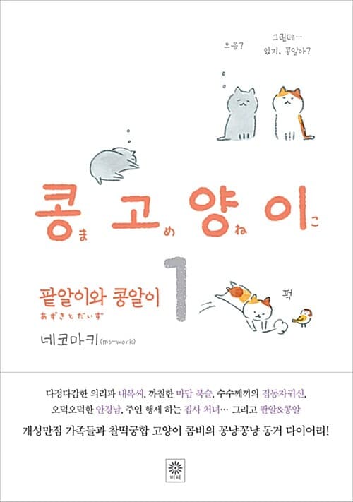 메인이미지