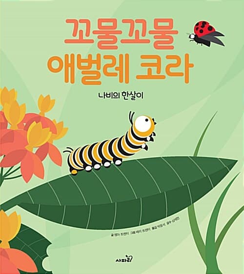 메인이미지