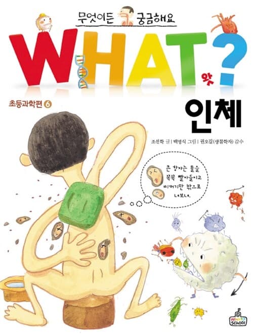 메인이미지