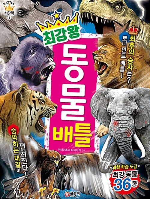 메인이미지