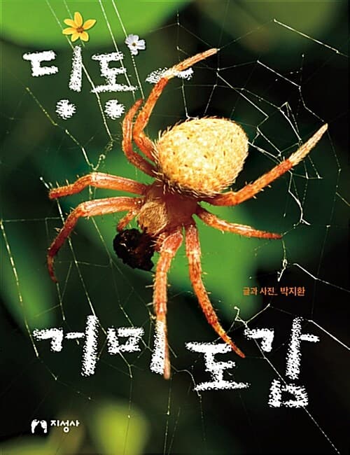 메인이미지