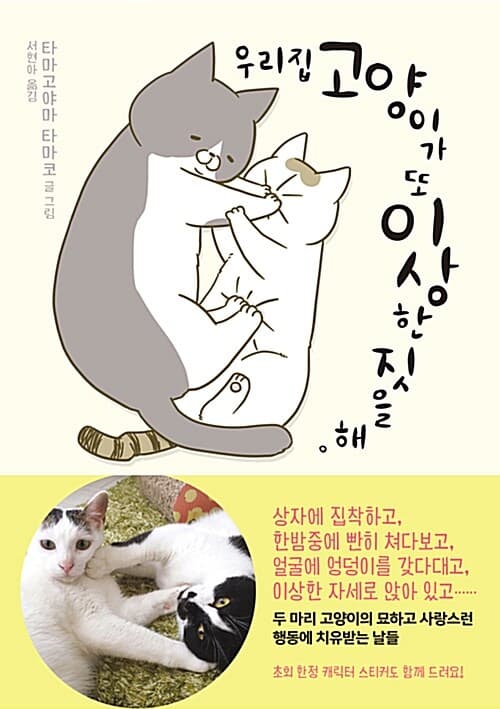 메인이미지