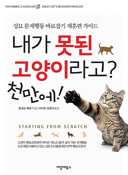 메인이미지