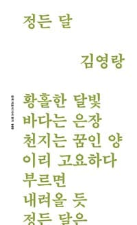 new book