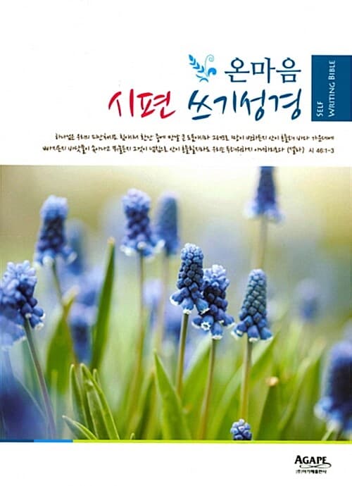 메인이미지