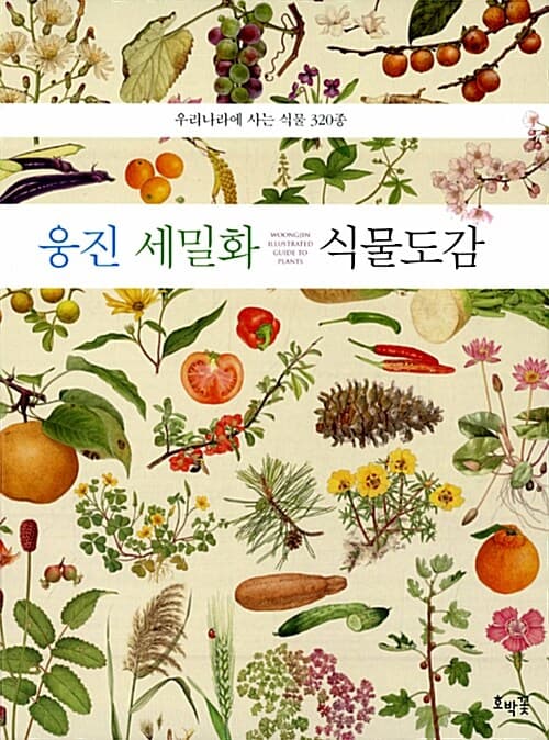 메인이미지