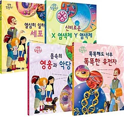 메인이미지