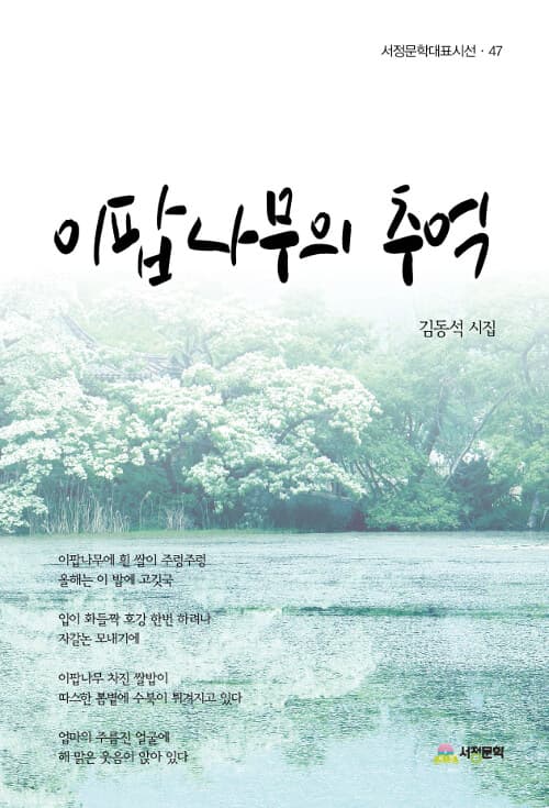 메인이미지