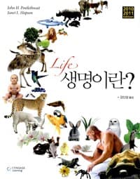 new book