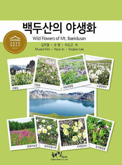 메인이미지