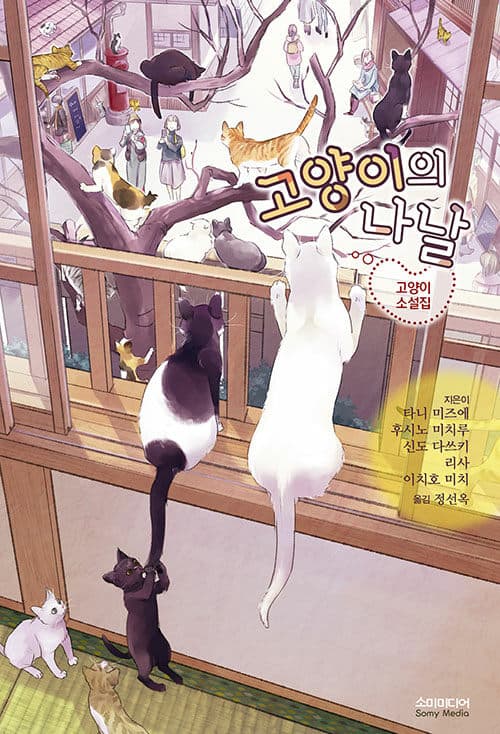 메인이미지