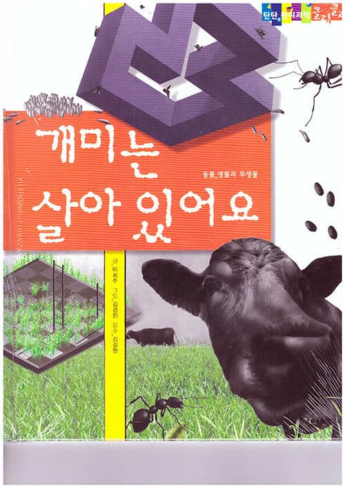 메인이미지