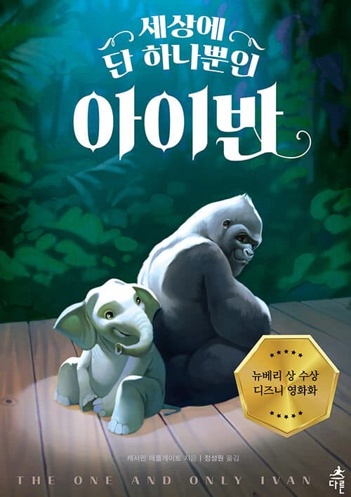 메인이미지