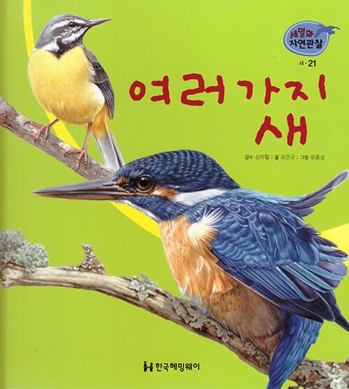 메인이미지