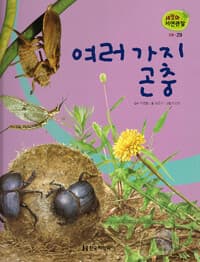 new book