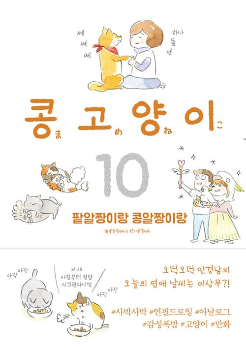 메인이미지