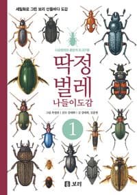 new book