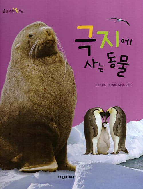 메인이미지