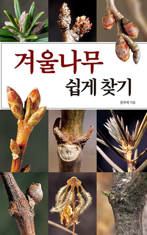 메인이미지