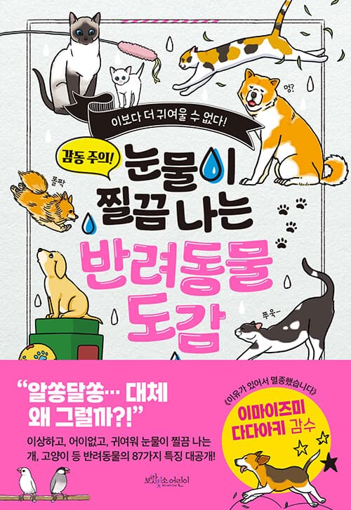 메인이미지