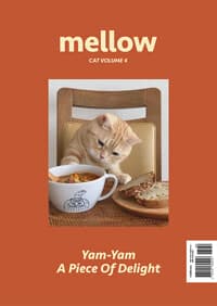 new book