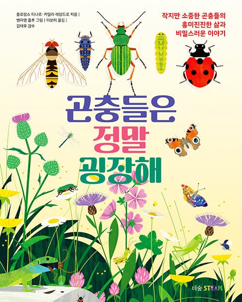 메인이미지