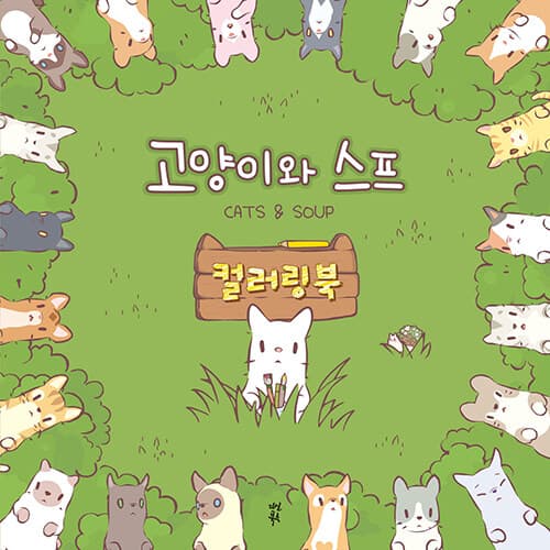 메인이미지