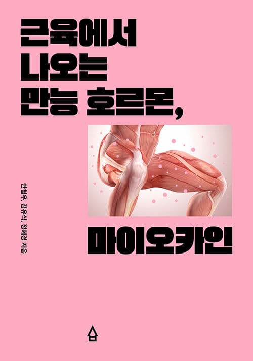 메인이미지