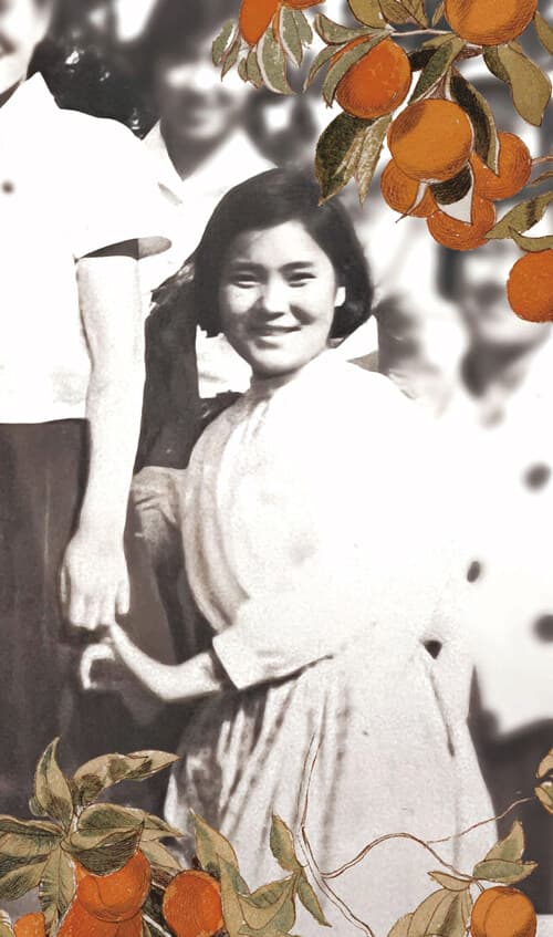 메인이미지