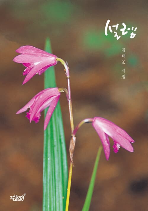 메인이미지
