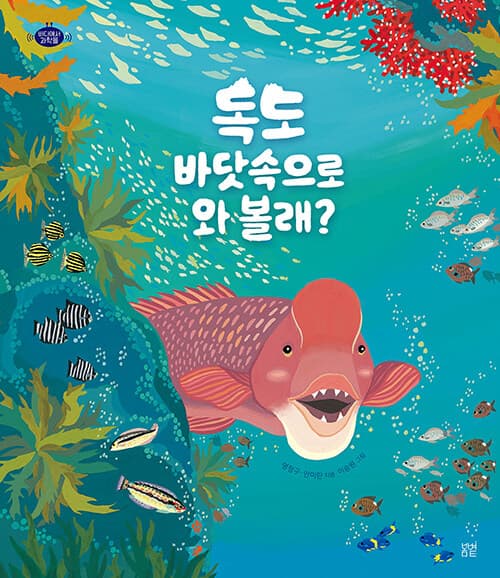 메인이미지