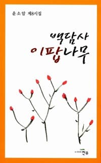 new book