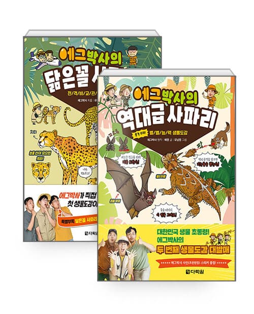 메인이미지