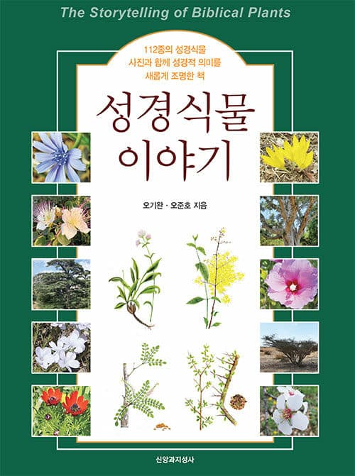 메인이미지