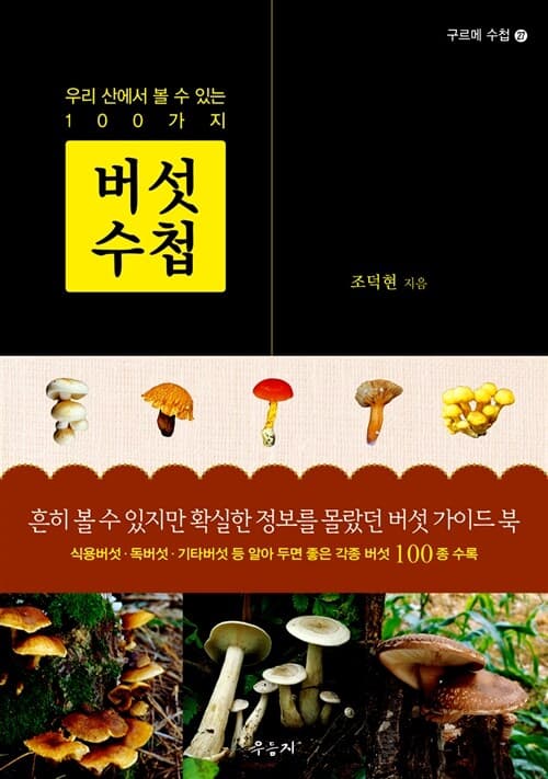 메인이미지