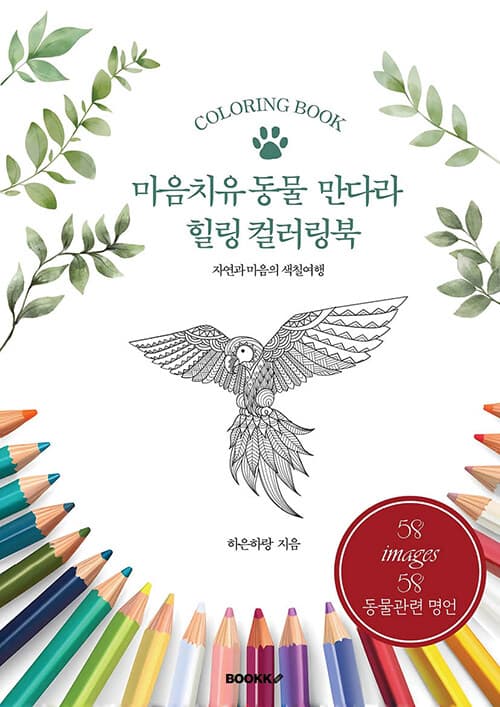 메인이미지