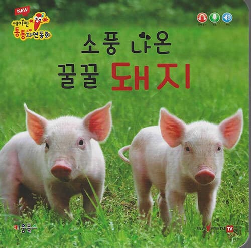 메인이미지