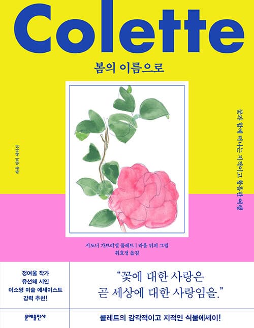 메인이미지