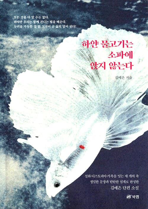 메인이미지
