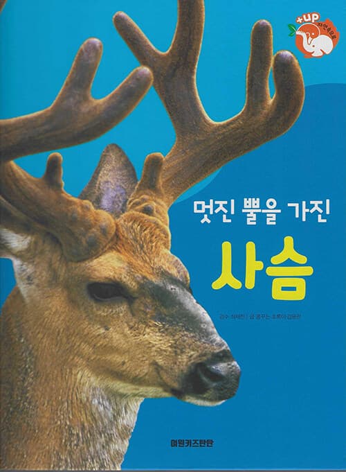 메인이미지
