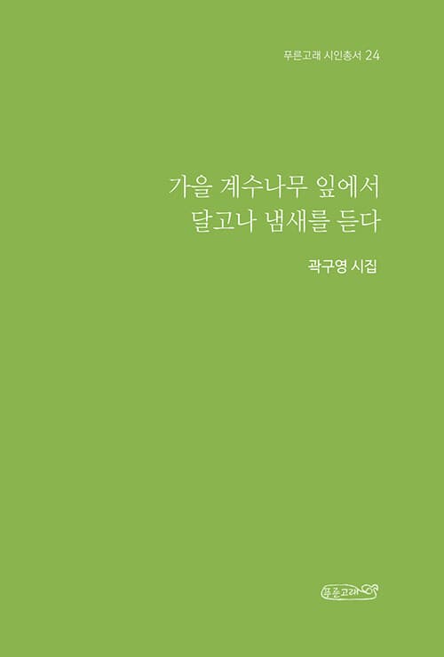 메인이미지