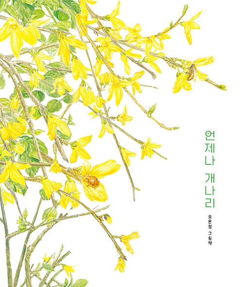메인이미지
