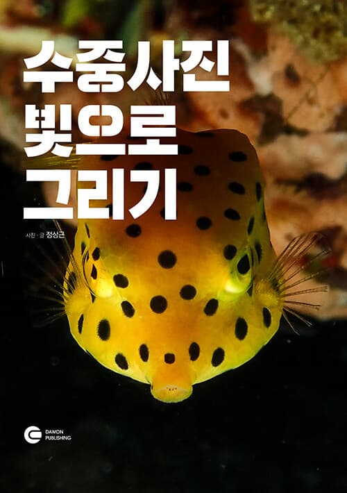 메인이미지