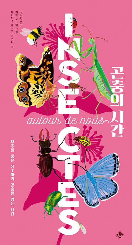 메인이미지