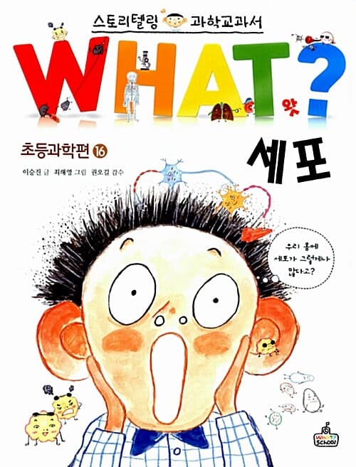 메인이미지