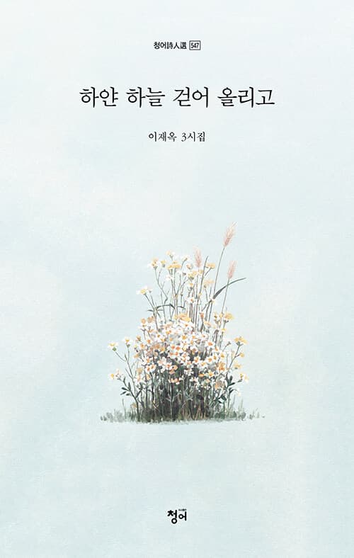 메인이미지