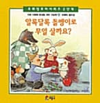 메인이미지