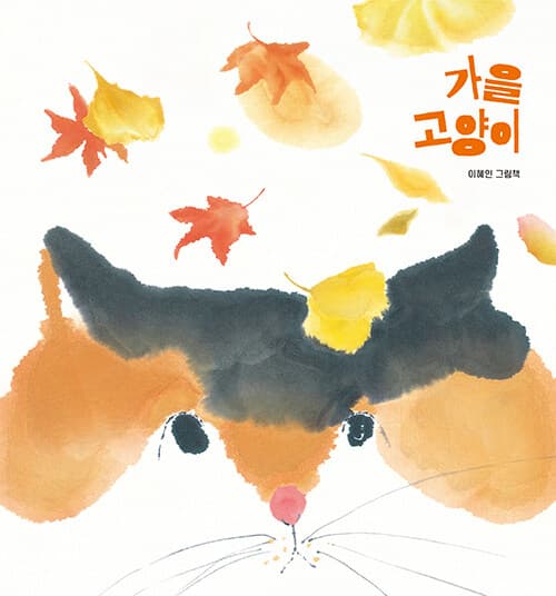 메인이미지