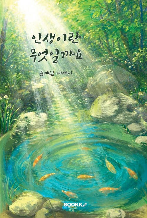 메인이미지