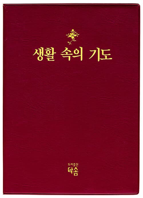 메인이미지